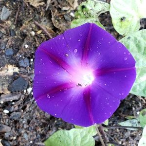 Meet your Posher, Angelita